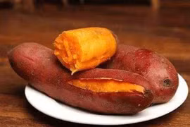 Khoai lang có thể tiêu diệt 98,7% tế bào ung thư