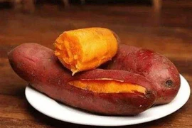 Khoai lang có thể tiêu diệt 98,7% tế bào ung thư