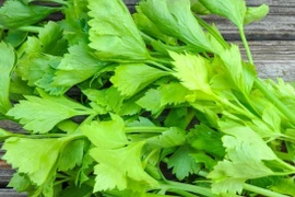 Lá cần tây mọi người thường bỏ đi lại có tác dụng chữa bệnh