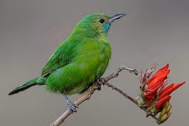 Ai sinh tháng Âm lịch này tự làm chủ cuộc đời