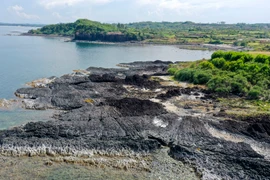 Tuyệt tác bãi san hô lộ thiên ở Gành Yến