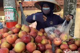 ‘Bóc giá’ trái cây Trung Quốc tại chợ đầu mối