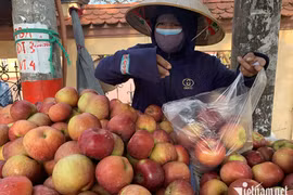 ‘Bóc giá’ trái cây Trung Quốc tại chợ đầu mối