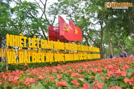 Hà Nội rực rỡ cờ hoa chào đón ngày hội bầu cử