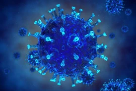Virus herpes biến đổi gene điều trị ung thư giai đoạn cuối