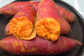 Ăn khoai lang tốt cho đường ruột 