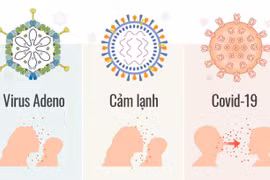 Xác định trẻ mắc adenovirus, không cần thiết xét nghiệm tại nhà