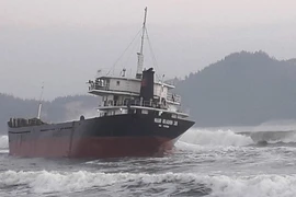 Cứu hộ các thuyền viên tàu hàng bị mắc cạn trên biển