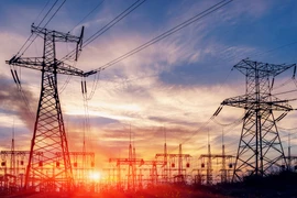  Tổng Công ty cổ phần Xây dựng điện Việt Nam bị phạt 190 triệu đồng 