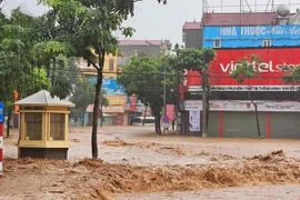 6 thi thể bị chôn vùi trong vụ sạt lở đất kinh hoàng tại Sơn La