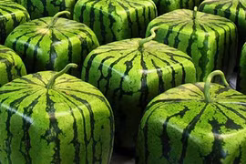 Video: 10 loại trái cây xa xỉ, đắt đỏ nhất thế giới