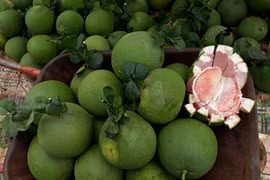 Video: Giảm ngay 5kg trong 10 ngày chỉ với công thức từ quả bưởi luộc