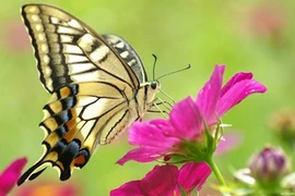 Video: 8 dấu hiệu cho thấy bạn sắp có rất nhiều tiền