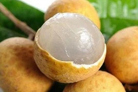 Video: Bài thuốc quý chữa bách bệnh từ quả nhãn