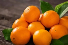 Video: 2 loại quả nên ăn nhiều rất tốt cho gan