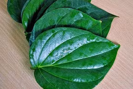 Video: Xúc miệng bằng nước lá này, mảng bám nhiều đến đâu cũng bong sạch sẽ