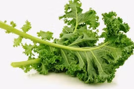 Video: 10 thực phẩm giàu canxi cực tốt cho mọi lứa tuổi