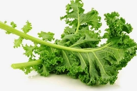 Video: 10 thực phẩm giàu canxi cực tốt cho mọi lứa tuổi