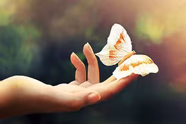 Video: Những dấu hiệu cho thấy bạn đang gặp may mắn