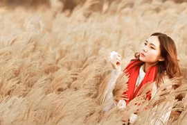 Video: Hiểu được người khác là trí huệ, hiểu được chính mình là thánh nhân