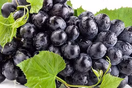 Video: Lý do bạn nên ăn nhiều trái cây và rau quả tím