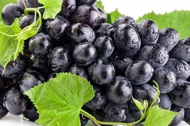 Video: Lý do bạn nên ăn nhiều trái cây và rau quả tím