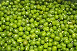 Video: Đậu xanh - thực phẩm “vàng” cho sức khỏe