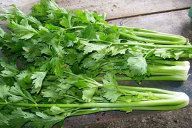 Video: Các món ăn trị thiếu máu hiệu quả nhất