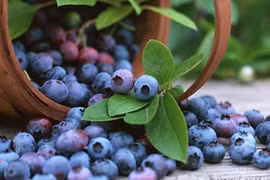 Video: 8 thực phẩm “vàng” ngăn ngừa nếp nhăn, trẻ mãi không già