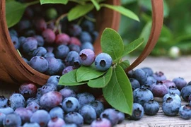 Video: 8 thực phẩm “vàng” ngăn ngừa nếp nhăn, trẻ mãi không già