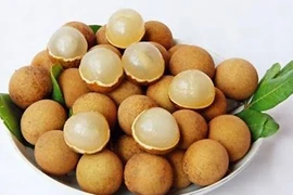 Video: Công dụng trị bệnh không nhiều người biết của quả nhãn