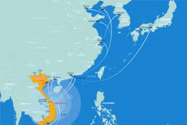 Giải pháp Logistics qua cửa khảu quốc tế Nam Giang cho doanh nghiệp Việt, Lào