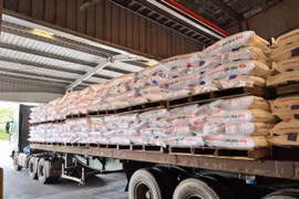 Giá nông sản tăng cao, giá phân bón trở về bình ổn