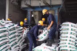Áp thuế giá trị gia tăng 5% đối với phân bón nhận sự đồng thuận lớn