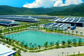 GĐĐH Tài chính Vinamilk: “Khi xác định ESG là cơ hội, việc thực hành ESG sẽ trở nên tốt và bài bản hơn”