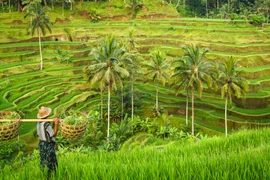 Cát Bà – khi một bộ phim có thể đổi đời một điểm đến