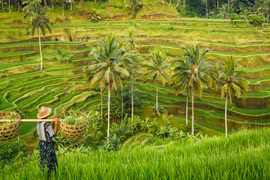 Cát Bà – khi một bộ phim có thể đổi đời một điểm đến