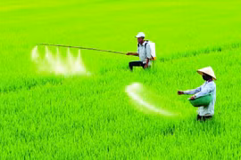 Sửa Luật thuế 71: Vì một nền nông nghiệp hiệu quả, bền vững