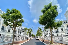 Bất động sản Nhật Nam gia tăng quỹ đất đón đầu cơ hội