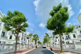 Bất động sản Nhật Nam gia tăng quỹ đất đón đầu cơ hội