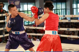 “Bóng hồng” so găng kịch tính tại giải Boxing tranh đai Number 1