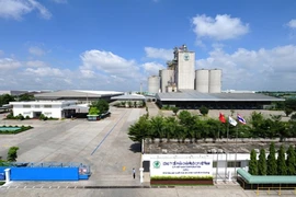 Thịt heo CP: Giải tỏa nỗi lo vệ sinh an toàn thực phẩm