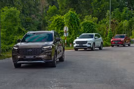 Khám phá Ford Territory - Tiếp nối di sản tại Việt Nam