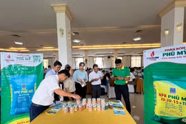 Chiến lược phát triển PVFCCo đến 2035, tầm nhìn đến 2045