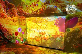Khám phá “Hoa Ánh Sáng” tại Ice Jungle Phú Quốc