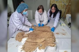 Kinh ngạc áo giáp sinh học 2.500 năm của binh lính cổ đại