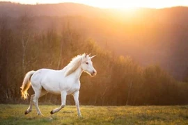 Giải mã bất ngờ về nguồn gốc thật sự của kỳ lân