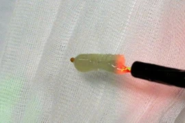 Suy hô hấp bởi đầu chổi vệ sinh nòng khí quản rơi vào đường thở