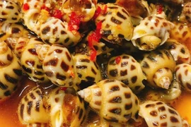 Loại hải sản được ví như "nữ hoàng của các loài ốc" cực giàu omega-3