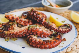 Lợi ích không ngờ của bạch tuộc đối với sức khỏe